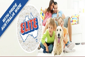 Elite Carpet Dry Cleaning
